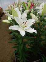 [4280 Severn Mak No201.JPG]